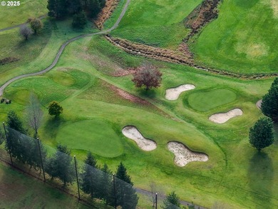 Beautiful 2.87-Acre Golf Course Lot in Ironwood Estates - - photo 26