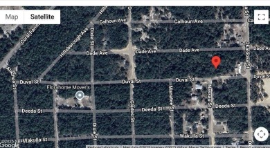 Lake Lot For Sale in Florahome, Florida