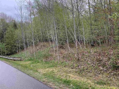 Lake Lot For Sale in Petoskey, Michigan