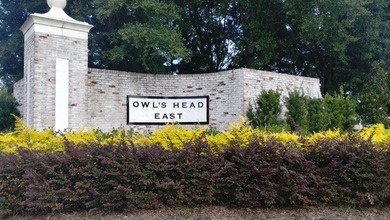 Fast growing Owl's Head East Subdivision. This cleared - photo 18