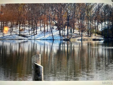 (private lake, pond, creek) Acreage For Sale in Winfield Missouri