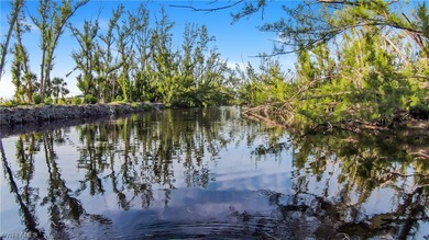 We are proud to bring you a slice of tropical paradise! This - photo 1