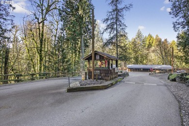 Your chance to own one of the largest homes in Big Valley Woods - photo 4
