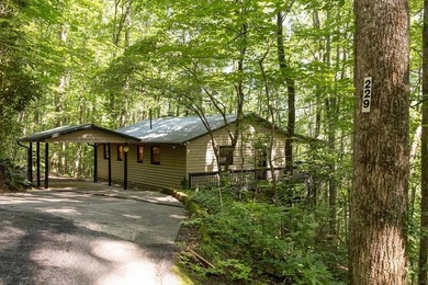 Welcome to the beautiful Watauga Vista gated community.This - photo 31