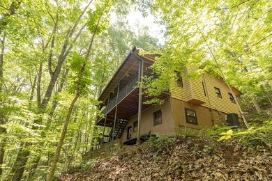 Welcome to the beautiful Watauga Vista gated community.This - photo 33