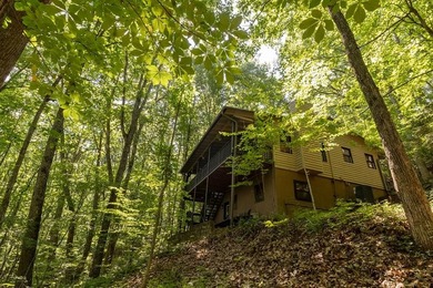 Welcome to the beautiful Watauga Vista gated community.This - photo 34