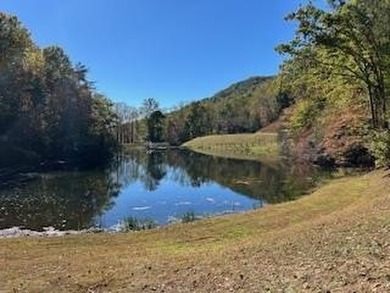 Welcome to the beautiful Watauga Vista gated community.This - photo 35