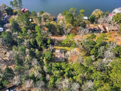 Completely gutted and remodeled down to the studs, this stunning - photo 35