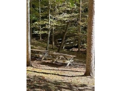 Welcome to the beautiful Watauga Vista gated community.This - photo 37