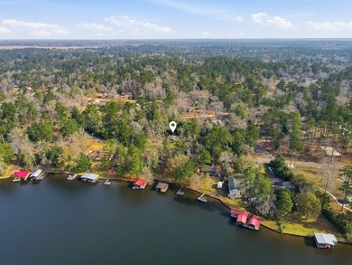 Completely gutted and remodeled down to the studs, this stunning - photo 38