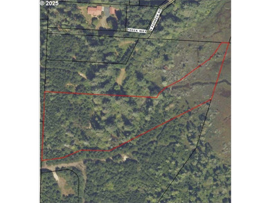 Siltcoos Lake Acreage For Sale in Florence Oregon
