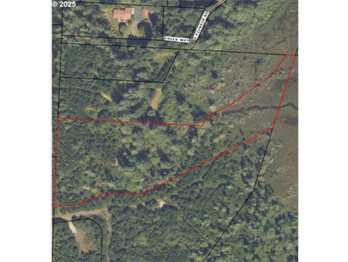Nice 6+ acre building site on Northside of Siltcoos Lake with - photo 2