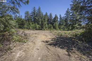 Nice 6+ acre building site on Northside of Siltcoos Lake with - photo 4