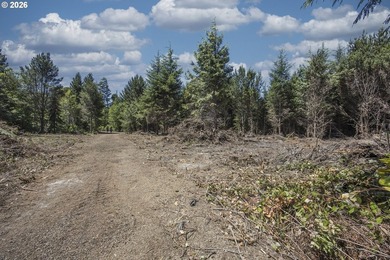 Nice 6+ acre building site on Northside of Siltcoos Lake with - photo 5