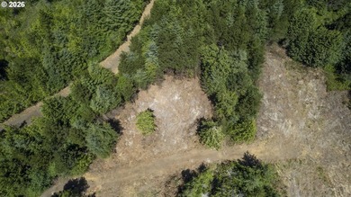 Nice 6+ acre building site on Northside of Siltcoos Lake with - photo 6