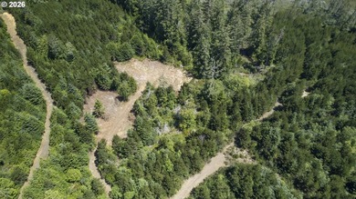 Nice 6+ acre building site on Northside of Siltcoos Lake with - photo 7