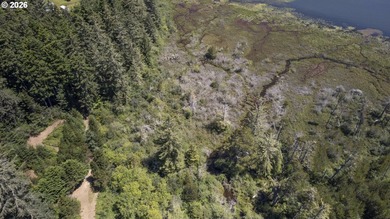 Nice 6+ acre building site on Northside of Siltcoos Lake with - photo 8