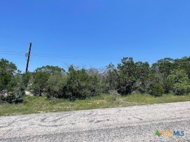 Beautiful one acre lot over looking Canyon Lake Dam and Sattler - photo 2