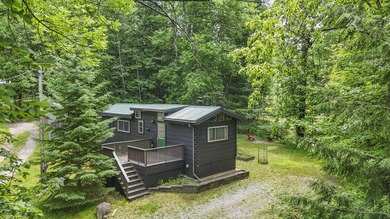 Custom-built tiny home by Adirondack White Pine Cabins in 2011 - photo 14