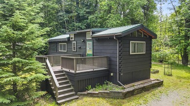 Custom-built tiny home by Adirondack White Pine Cabins in 2011 - photo 15