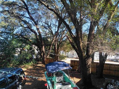 Beautiful oak trees, 10 minutes from downtown Pensacola....3/2 - photo 3