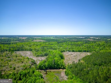(private lake, pond, creek) Acreage For Sale in Bristol Georgia
