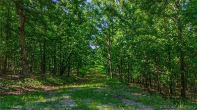 Lake Acreage For Sale in Edwards, Missouri