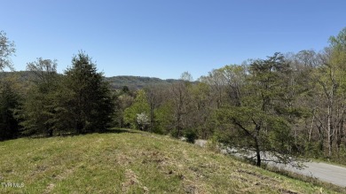 Lake Lot For Sale in Bean Station, Tennessee
