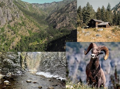 Salmon River - Idaho County Home For Sale in Riggins Idaho