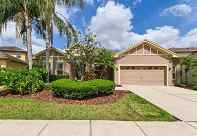 Lake Home For Sale in Wesley Chapel, Florida