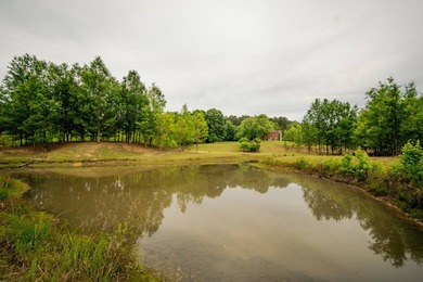 WELCOME TO A BEAUTIFUL COUNTRY PROPERTY OFFERING THE PERFECT - photo 6