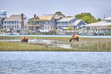A rare opportunity to own one of North Carolina's most - photo 50