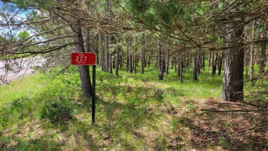 Lake Camelot Lot For Sale in Nekoosa Wisconsin