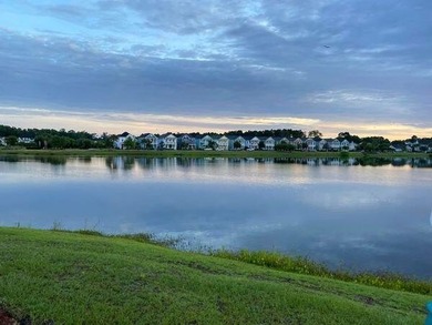 Welcome to 3012 Sugarberry Lane in Whitney Lake! You will not - photo 41