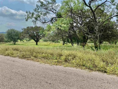 Exceptional opportunity to own a beautiful level golf course - photo 2