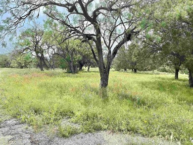 Exceptional opportunity to own a beautiful level golf course - photo 3
