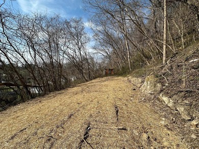 Ohio River Lot Sale Pending in Coal Grove Ohio