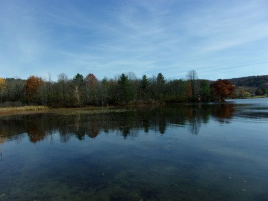 Lake Hortonia Acreage For Sale in Sudbury Vermont