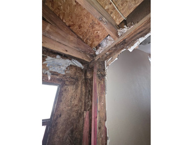 Rehab, fix'r upper-repairs required. The sales price is net cash - photo 14