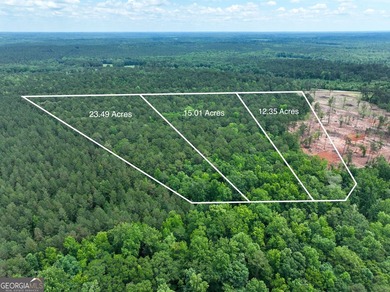 For sale 12.35 acres featuring a gorgeous mix of mature pines - photo 1