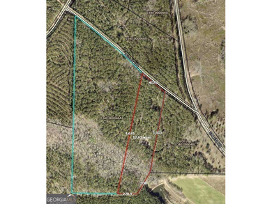 For sale 12.35 acres featuring a gorgeous mix of mature pines - photo 2