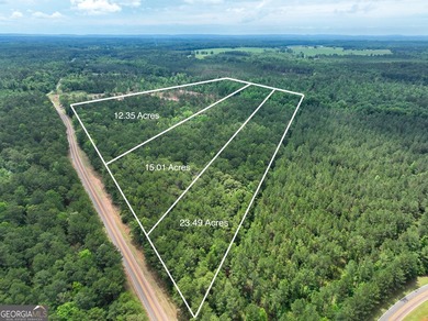 For sale 12.35 acres featuring a gorgeous mix of mature pines - photo 3