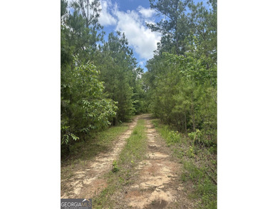 For sale 12.35 acres featuring a gorgeous mix of mature pines - photo 4