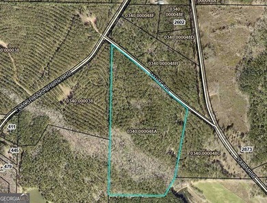 For sale 12.35 acres featuring a gorgeous mix of mature pines - photo 6
