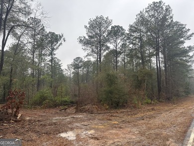 For sale 12.35 acres featuring a gorgeous mix of mature pines - photo 9