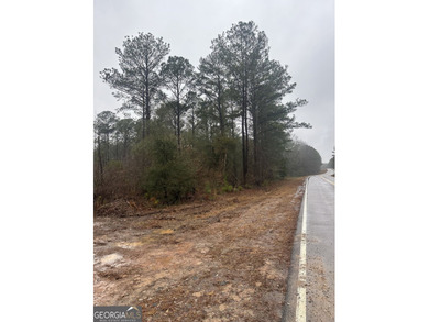 For sale 12.35 acres featuring a gorgeous mix of mature pines - photo 10