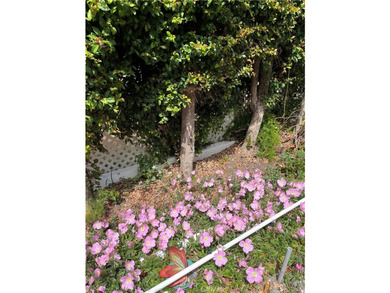 1065 Lomita Blvd 250 - photo 3