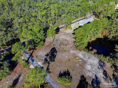 Build Your Dream Home in Gulf Breeze! Peaceful, cleared lot with - photo 3