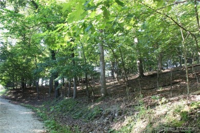 Lake Lot For Sale in Gravois Mills, Missouri