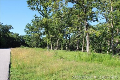 Lake of the Ozarks Acreage For Sale in Laurie Missouri